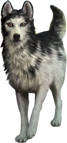 alpha dog wiki alpha dog wiki